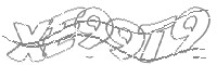 Check code